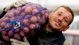 Картофельный союз: Минсельхоз поторопился с выводами по урожаю 